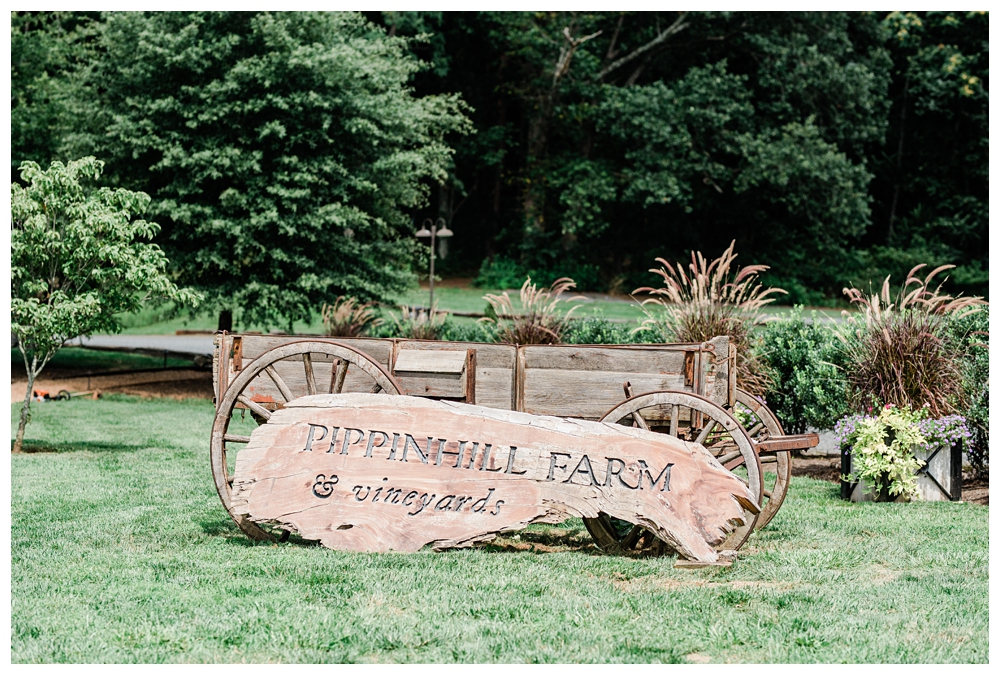 Pippin Hill; Virginia Vineyard; Charlottesville Wedding Venue;