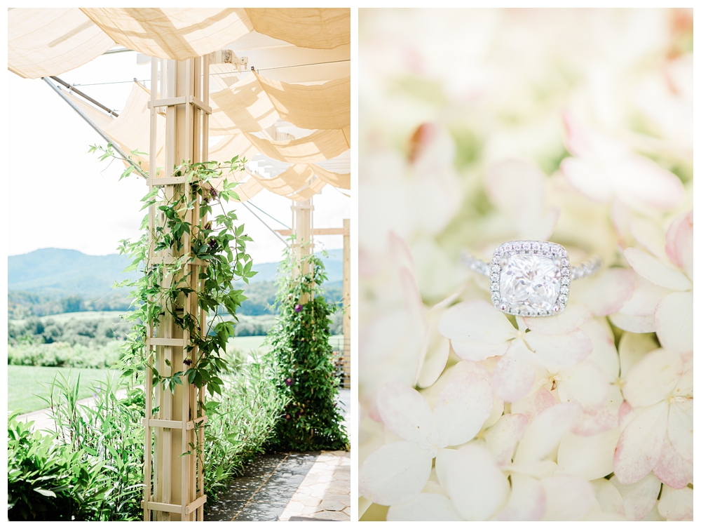 Pippin Hill; Engagement Ring; Virginia Bride; Charlottesville Wedding Venue; Charlottesville engagements; White Hydrangeas; 
