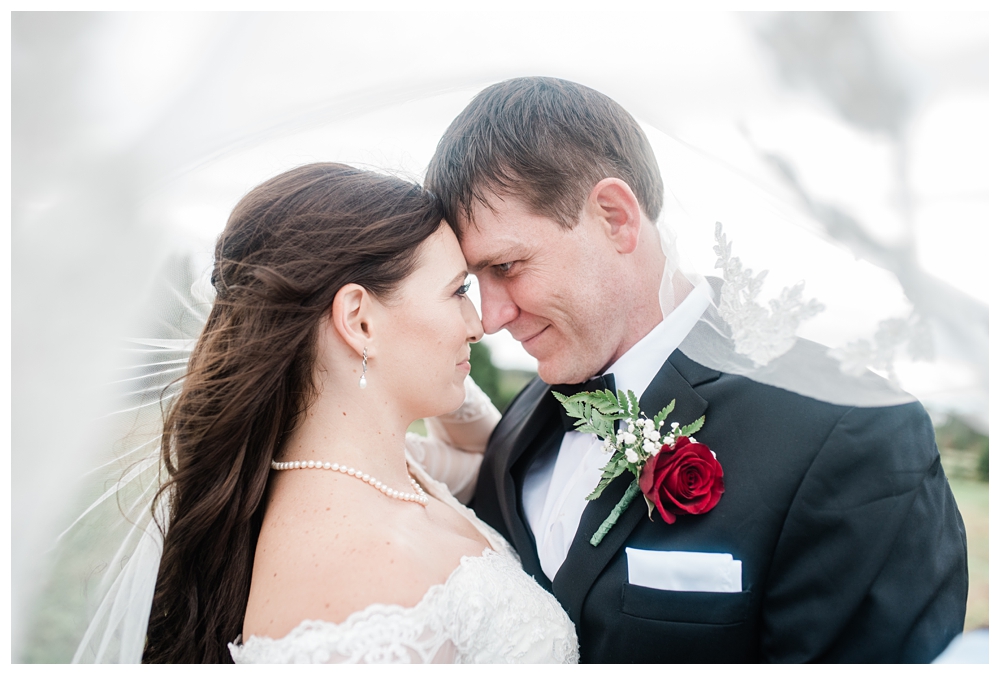 Wedding Veil; Virginia Wedding Photographer; Virginia Wedding;