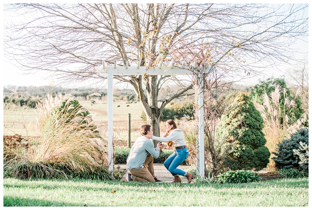 L'Auberge Provencale Bed & Breakfast; Marriage Proposal; Virginia Engagement Photographer;