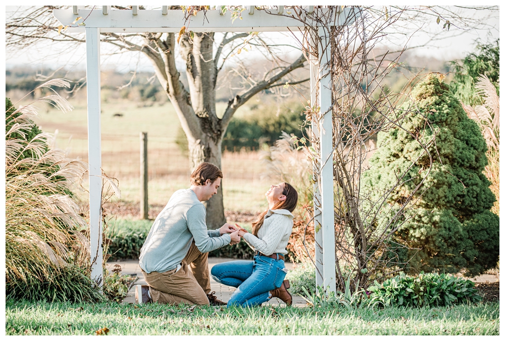 Marriage Proposal; Pictures of marriage proposals; L'Auberge Provencale; Virginia Bed & Breakfast; Virginia Engagement Photographer;