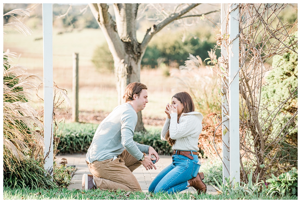 L'Auberge Provencale; Marriage Proposal; Virginia Bed & Breakfast; Fall Engagements; Fall Engagement Photos;