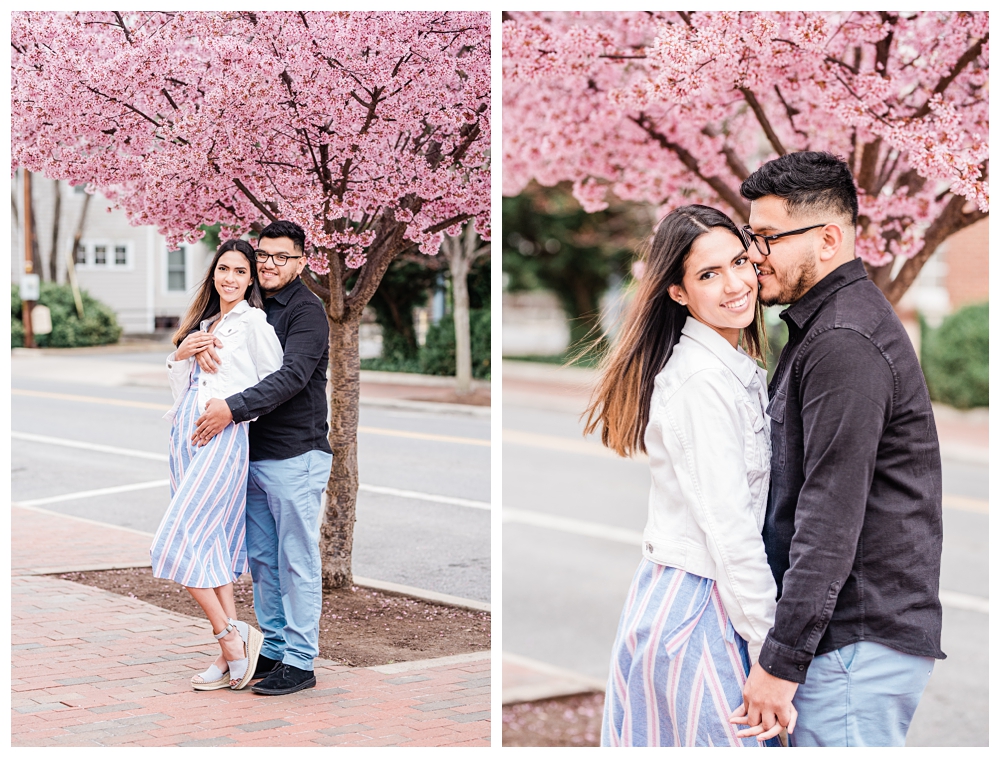 downtown cherry blossoms; virginia cherry blossoms; winchester cherry blossoms; winchester engagement session;