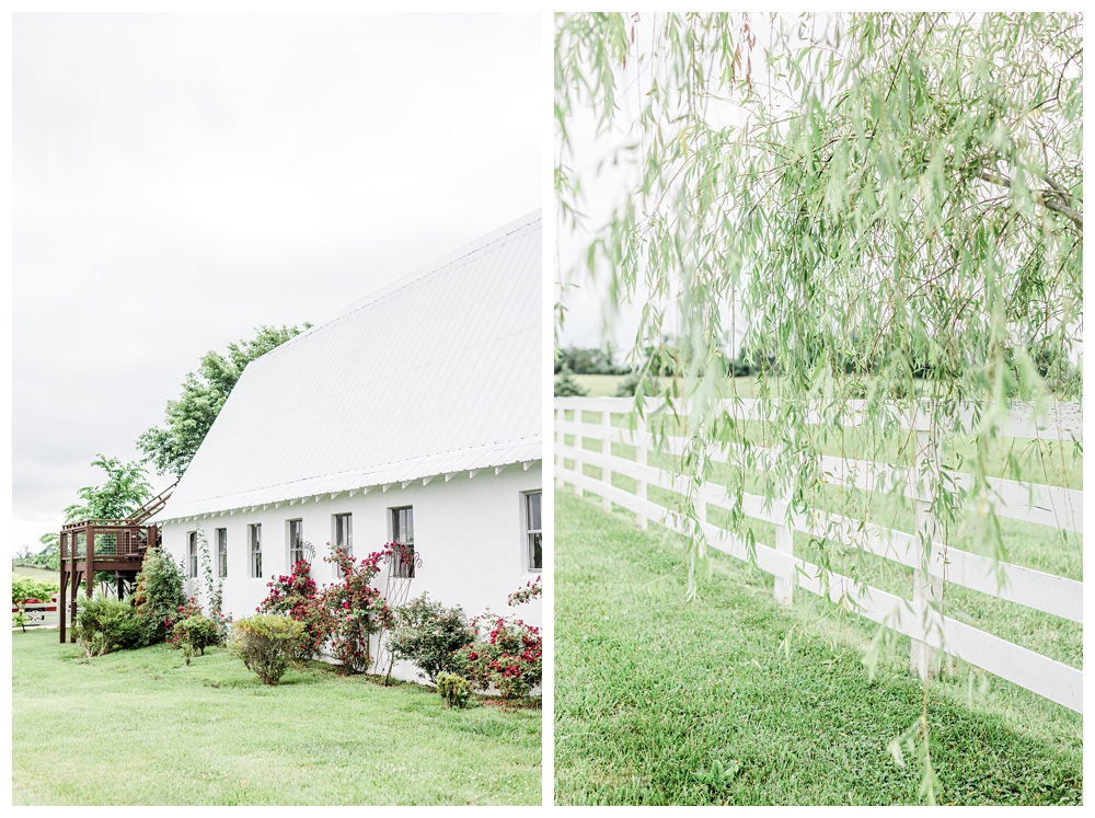 weeping willow tree; barn wedding; east lynn farm;