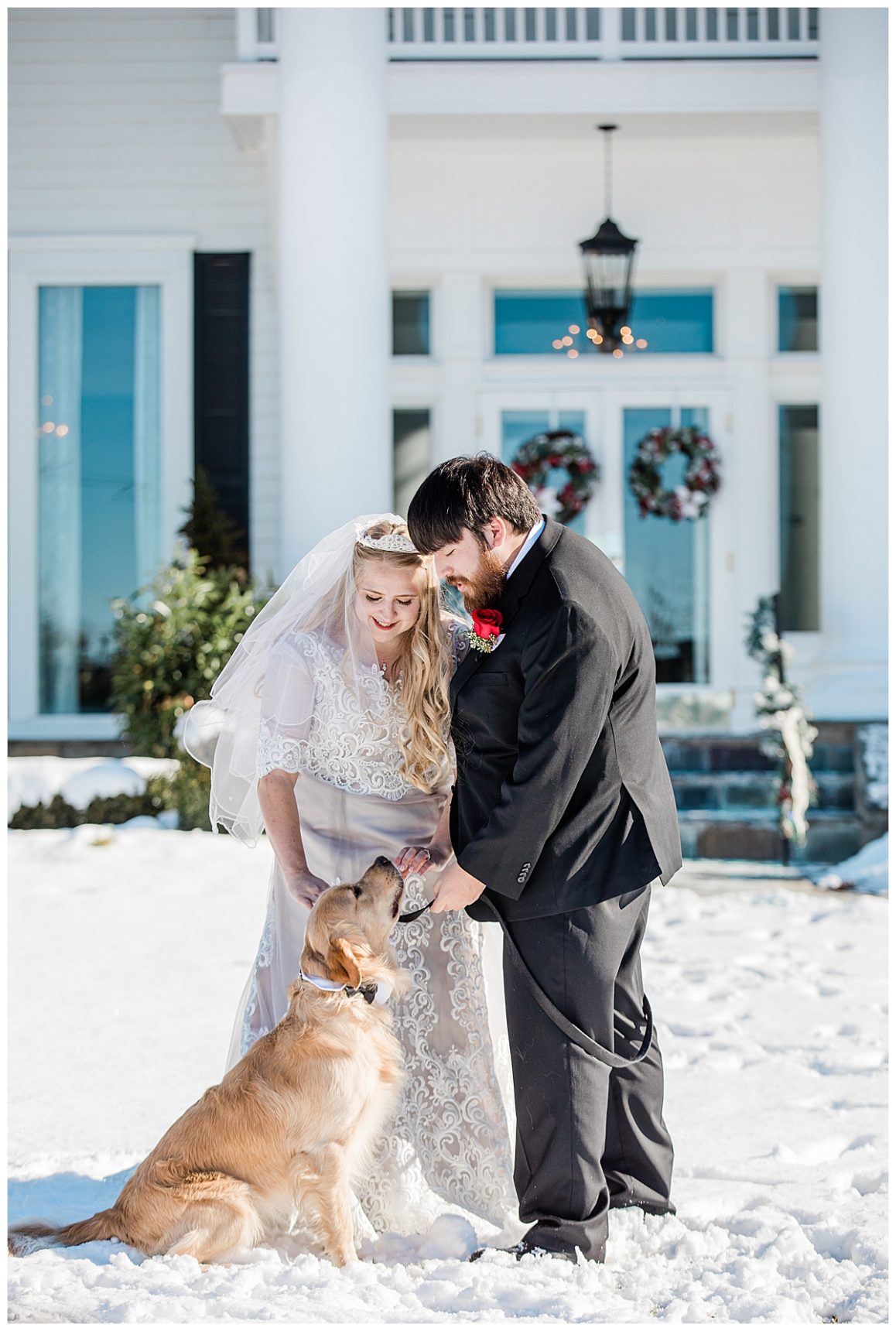 Dogs in weddings; Golden Retriever; Dogs as ring bearers; Bristow Manor;