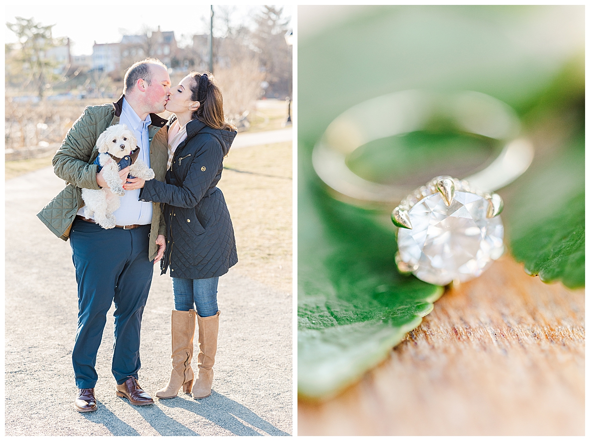 Downtown Alexandria, Alexandria Waterfront; Alexandria engagement session; Maltese puppy; engagement ring; 