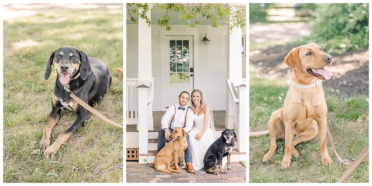 The Barns at Madison County; Virginia Wedding Venue; Virginia Barn Wedding; Etlan Weddings; Brooke Danielle Photography; Dog Weddings;