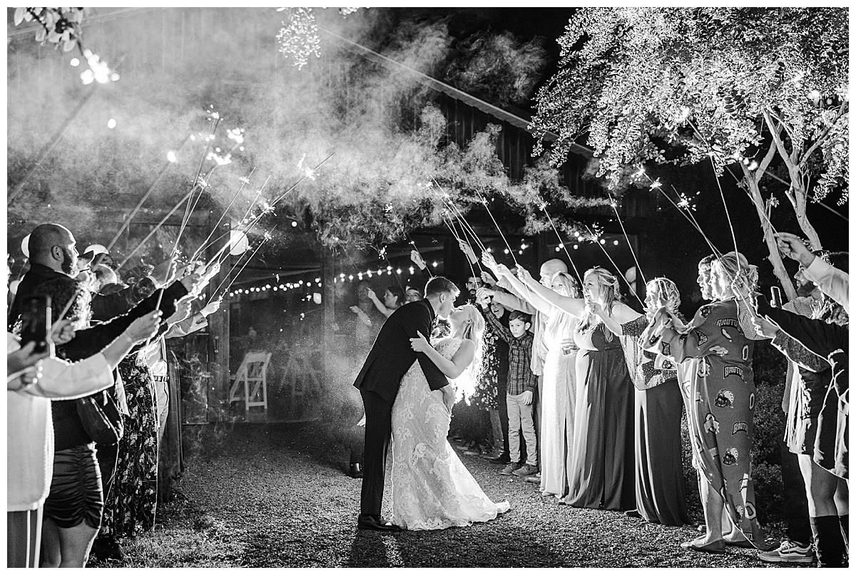Old House Vineyards Wedding; Virginia Wedding Photographer; Brooke Danielle Photography; Harry Potter Wedding; Vineyard Wedding; Charlottesville Wedding Photographer; Sparkler Exit;