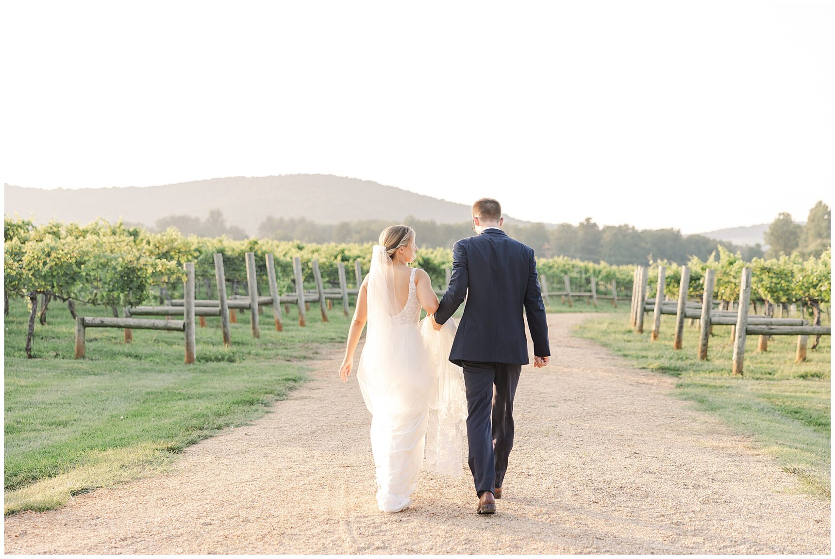 Keswick Vineyards; Charlottesville Wedding Venue; Charlottesville Weddings; Virginia Wedding Venue; Virginia vineyard wedding;