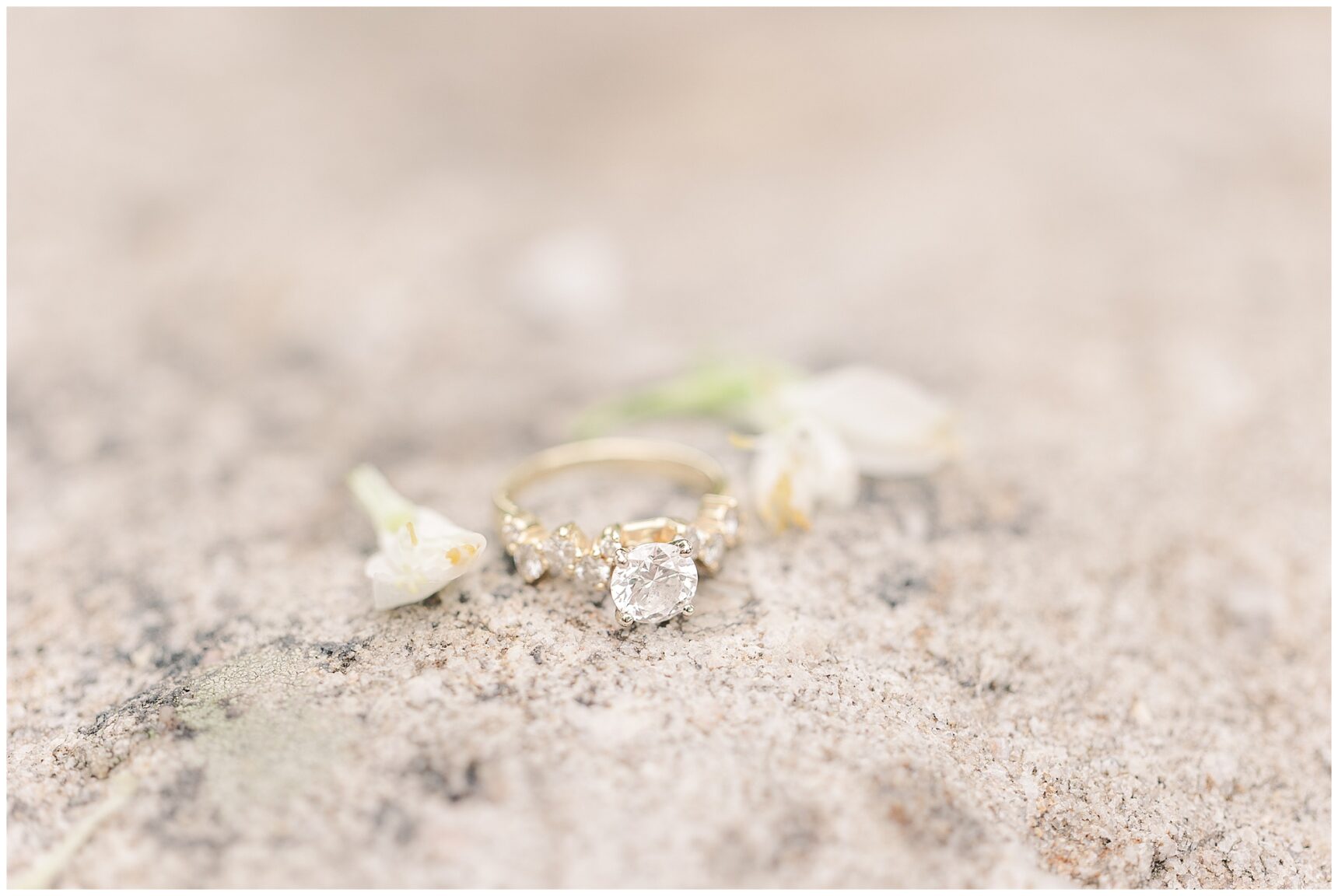 Downtown Alexandria Engagement Session; Virginia based wedding photographer; Virginia, Maryland, & DC Wedding Photographer