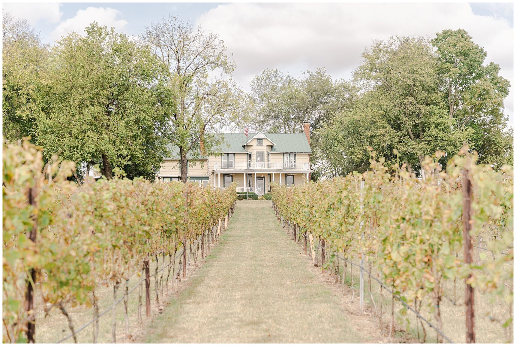 Old House Vineyards Wedding; Virginia Wedding Photographer; Brooke Danielle Photography; Virginia Vineyard Wedding; Culpeper Wedding Venue;