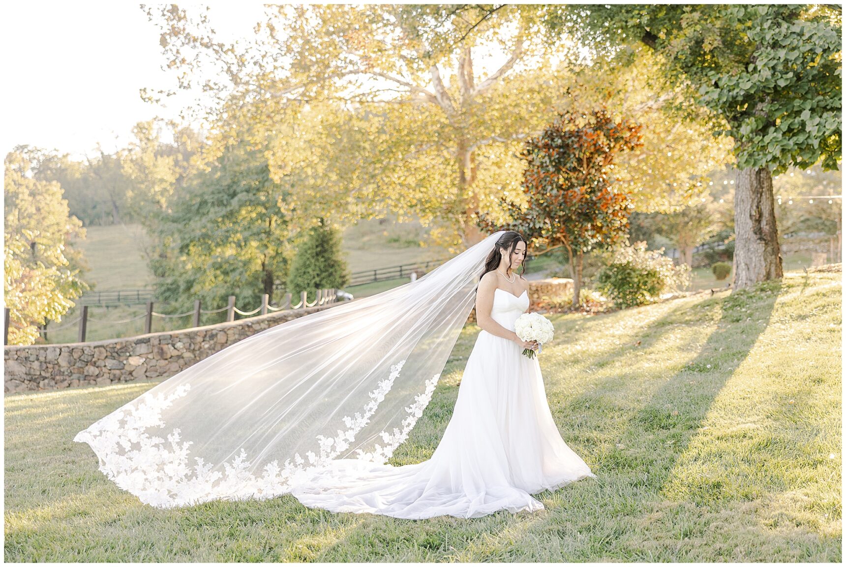 The View at Bluemont Wedding; Bluemont Weddings; Brooke Danielle Photography; Virginia Wedding Photographer; Loudoun County Weddings;