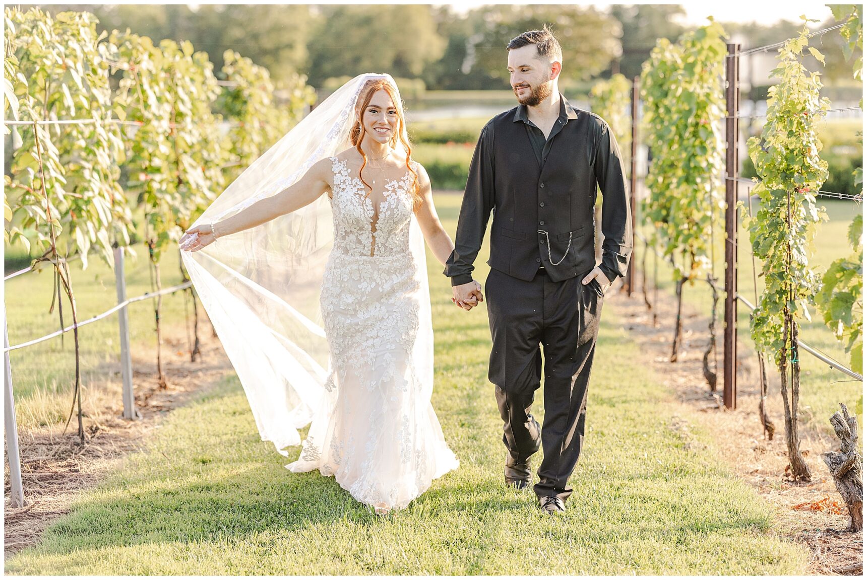 Newlyweds walking through the vineyard at sunset